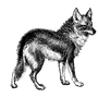 leobaniak profile
